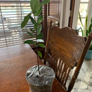 Maria added a photo of their purchase