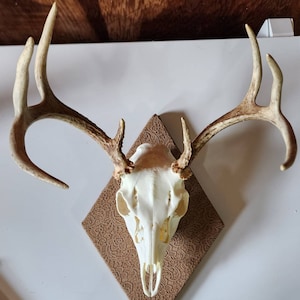 Erin added a photo of their purchase