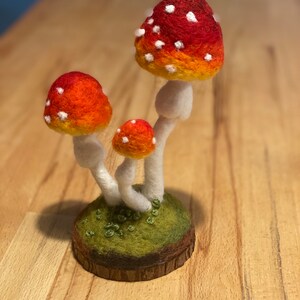 Jacqui added a photo of their purchase