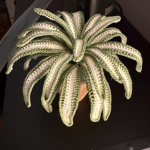 Kimberly added a photo of their purchase