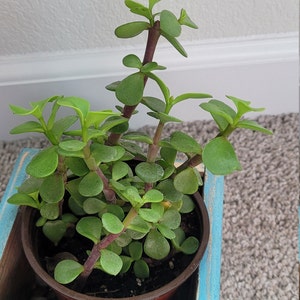 Feisal added a photo of their purchase