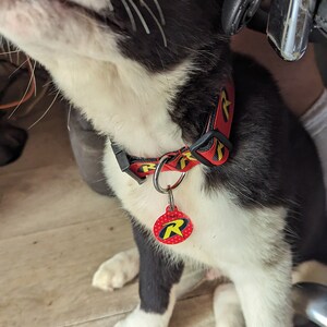 Targhetta identificativa personalizzata per animali domestici con ...