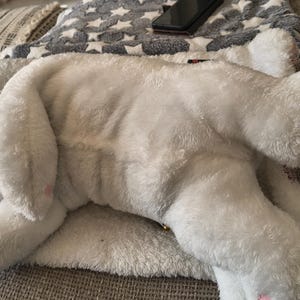 Valerie added a photo of their purchase