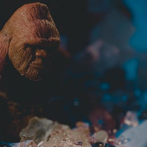 Renee added a photo of their purchase