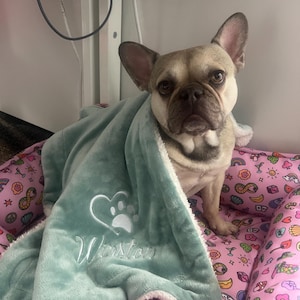 Melissa added a photo of their purchase