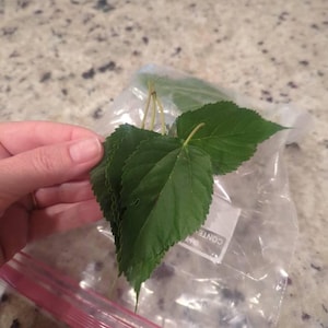 Holly added a photo of their purchase