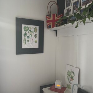 isabelle added a photo of their purchase