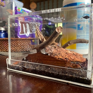 Andrew added a photo of their purchase