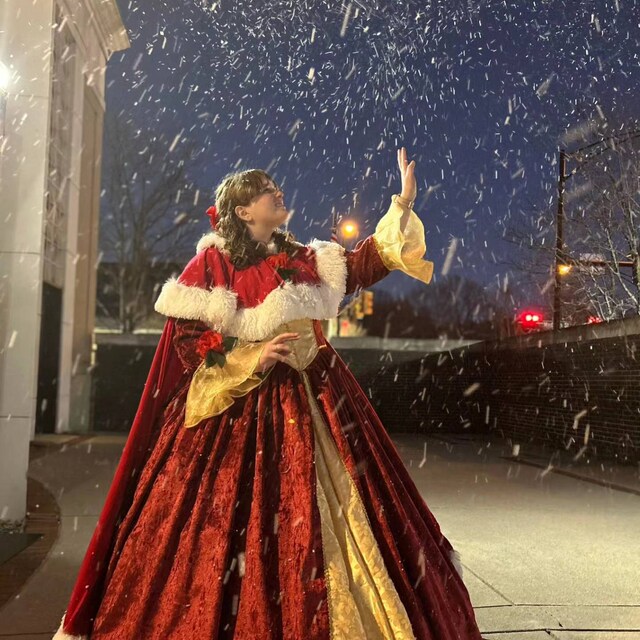 Handmade - Cosplay Belle Christmas Dress, Belle Holiday Dress Winter Cosplay  Costume - Etsy
