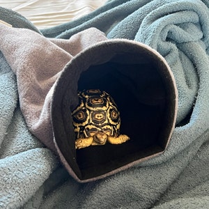 Brandy added a photo of their purchase