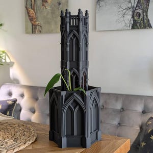 Draculia added a photo of their purchase