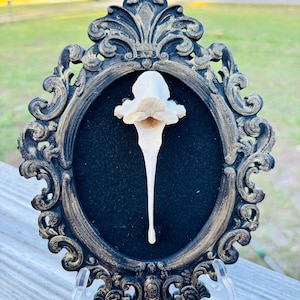 Jessica added a photo of their purchase