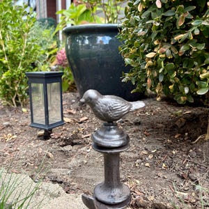 Shannon added a photo of their purchase