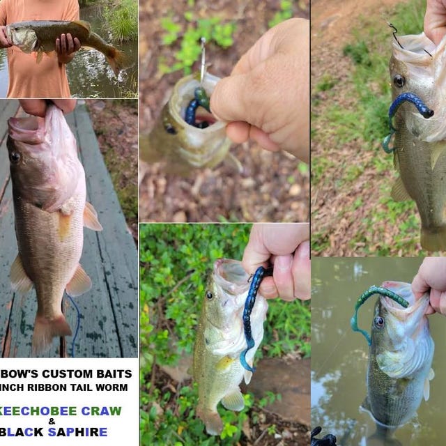 Australian Bass Best Soft Stick Bait For Bass 5” Watermelon Red