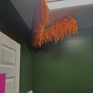 Ashley added a photo of their purchase