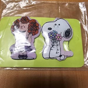 Charlie Brown X-ray Markers, lead X-ray markers, rad tech, imaging markers, rad tech gifts, image indicator,fun Xray markers,cartoon marker