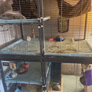 Jamie added a photo of their purchase