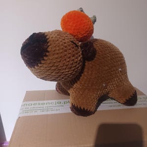 Anna a ajouté une photo de son achat