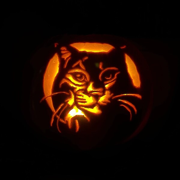 Scooby Doopumpkin Carving Pattern/stencil Instant Digital Download Etsy