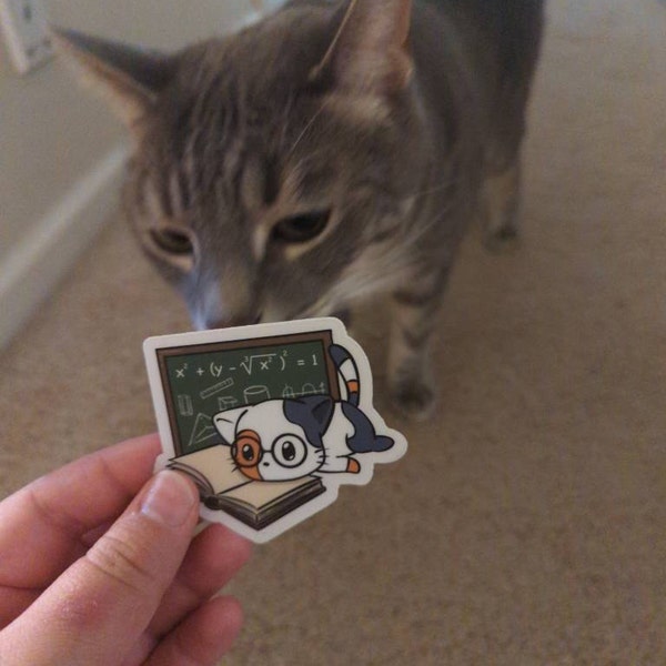 Math Cat Sticker (CLEAR Sticker) - Etsy