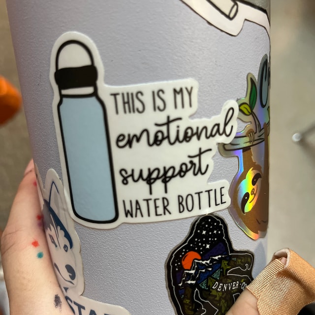 A must have for your emotional support water bottle!💕 #target