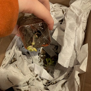 Maryn さんが購入した商品の写真を追加しました