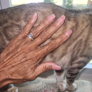 Sabra added a photo of their purchase