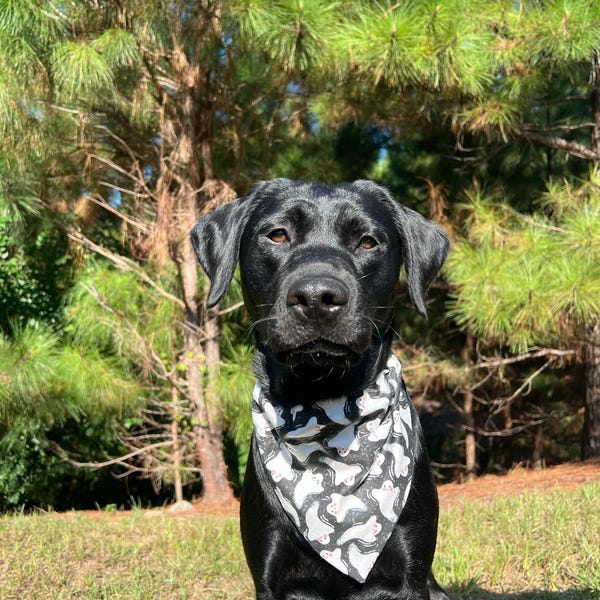 Weekly Menu Planning Calendar Printable Black and White Printable Etsy