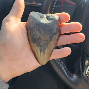 Kirk added a photo of their purchase