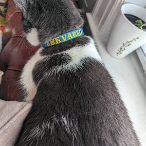 svitlana added a photo of their purchase
