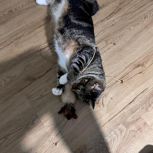 holly added a photo of their purchase