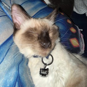 Sammie added a photo of their purchase