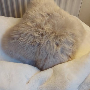 Anna added a photo of their purchase