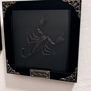 Julsie added a photo of their purchase