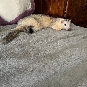 Norma added a photo of their purchase