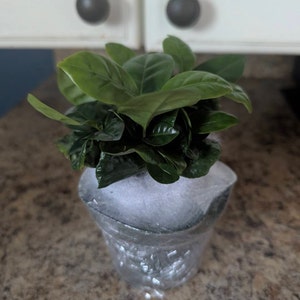 Ariel added a photo of their purchase
