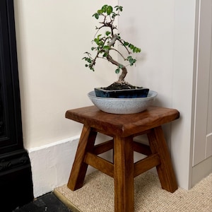 Adam added a photo of their purchase