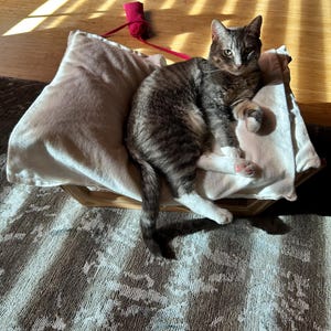 Etsy buyer added a photo of their purchase