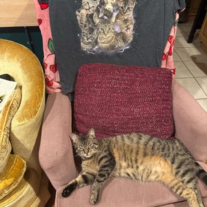 Nelly added a photo of their purchase