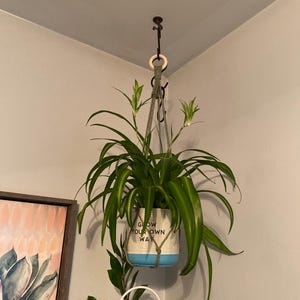 Gina added a photo of their purchase