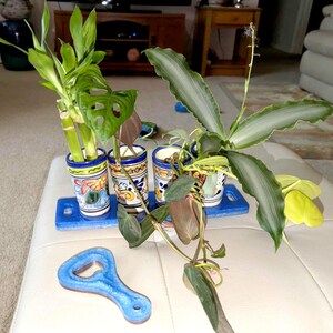 Carol added a photo of their purchase
