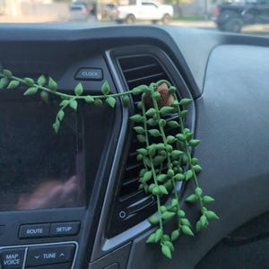 Jennifer added a photo of their purchase