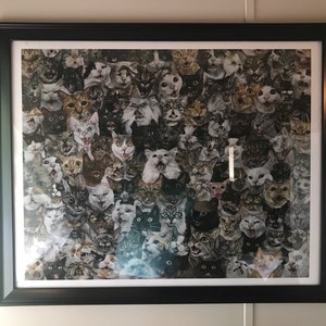 Chasity added a photo of their purchase