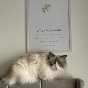 Irram added a photo of their purchase
