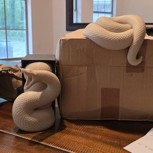 RACHEL ha añadido una foto de su compra