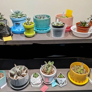 Daecy added a photo of their purchase