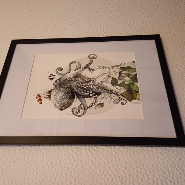 タコ（Octopus Vulgaris）ジクレー版画、A4、A3、またはA2 - 水中壁画