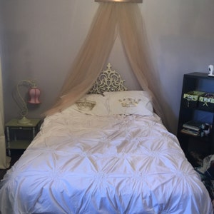 Korine added a photo of their purchase