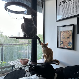 Ashleig added a photo of their purchase