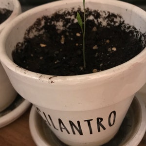 robyn ha añadido una foto de su compra